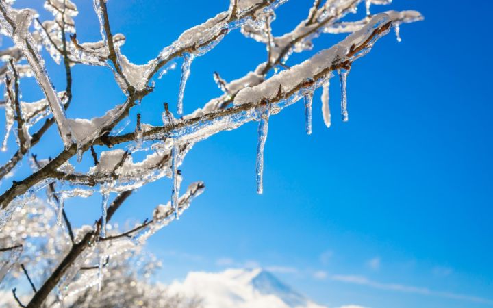 Мороз и холода не отступают: синоптики сообщили о погоде в ЛНР 21 января 