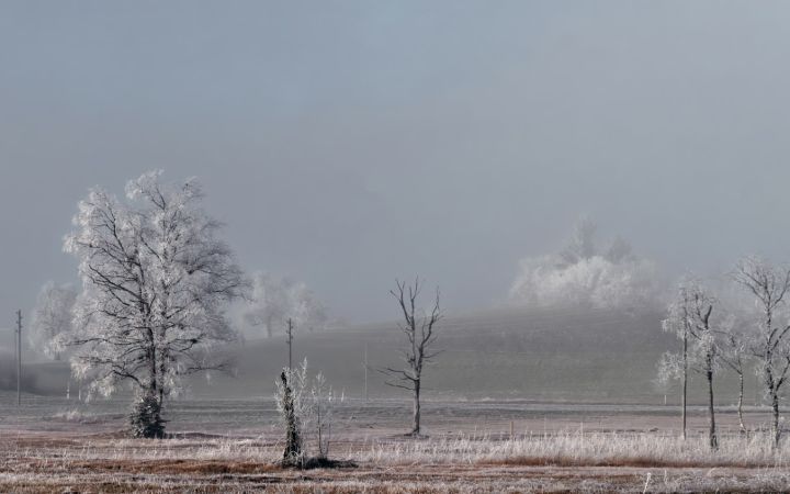 Мороз до -15, туман и гололедица ожидается в ЛНР 22 января 