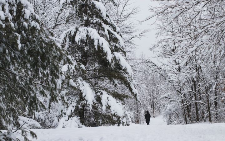 В ЛНР 23 января ожидается метель и мороз: прогноз погоды по каждому городу 