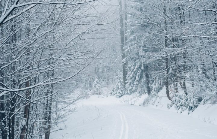 Метель, ветер и мороз: синоптики предупредили о неблагоприятной погоде в ЛНР 24 января 