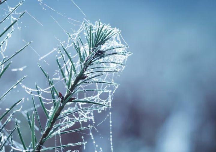 Гололедица и усиление морозов ожидаются в ЛНР 26 января