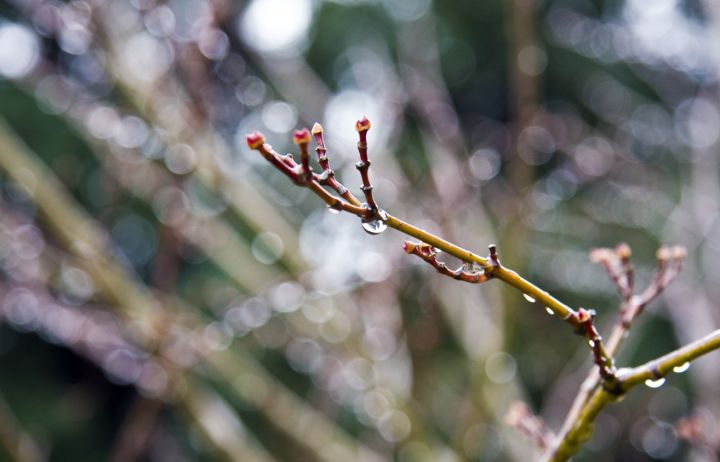 Зима сдаёт позиции? В ЛНР прогнозируют резкое потепление и дожди