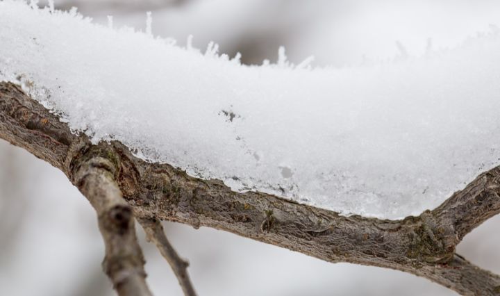 Дождь, туман и гололедица: какой будет погода в ЛНР 30 января? 