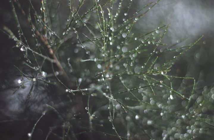 Сильный дождь со снегом и резкий перепад температуры: какой погоды ждать жителям ЛНР в последний день января? 