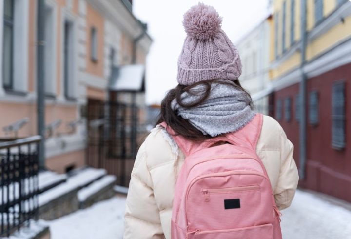 Школьников в ЛНР освободили от учёбы в сильные морозы