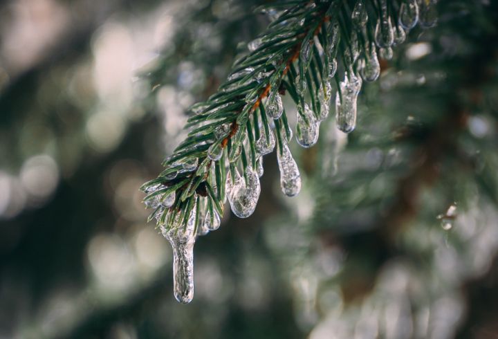 Температура до +7° и сильный ветер: в ЛНР неожиданно пришло потепление 