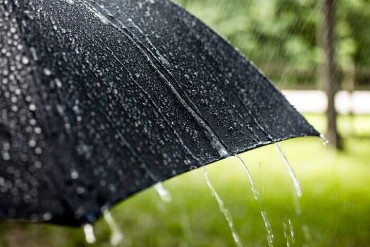 Дожди ожидаются в ЛНР до конца рабочей недели