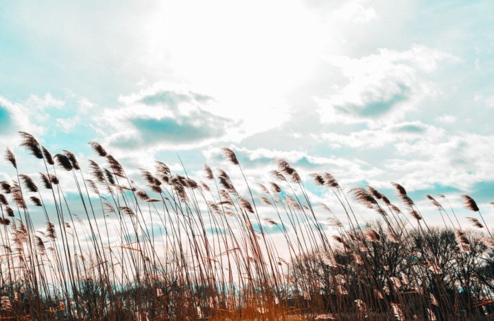 Внимание, экстренное предупреждение! В ЛНР прогнозируют ухудшение погоды 