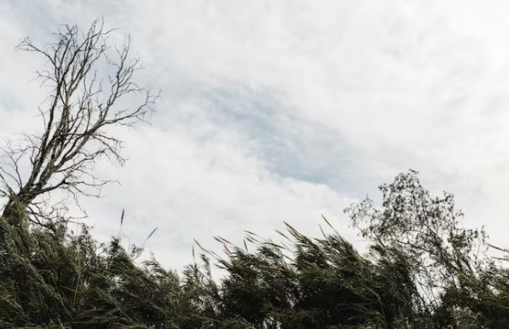 Непогода уже оставила без света часть ЛНР