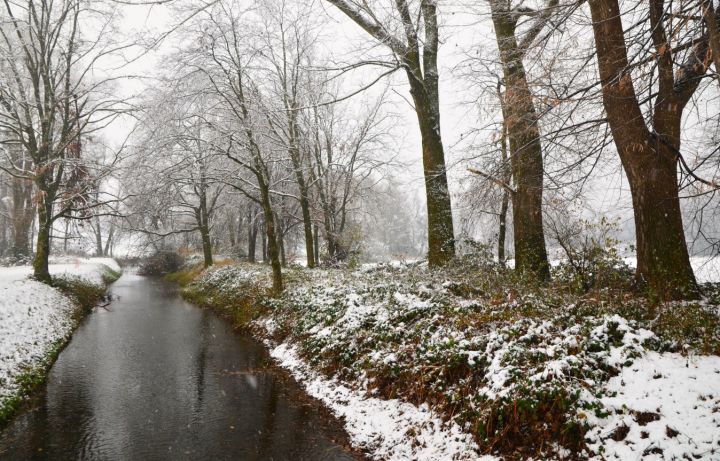 Пойдёт снег с дождём и поднимется ветер: какой погоды ждать жителям ЛНР 18 февраля?