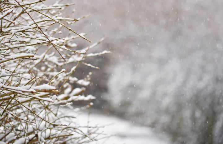 Ночная метель и сильный ветер: в ЛНР 19 февраля резко изменится погода 