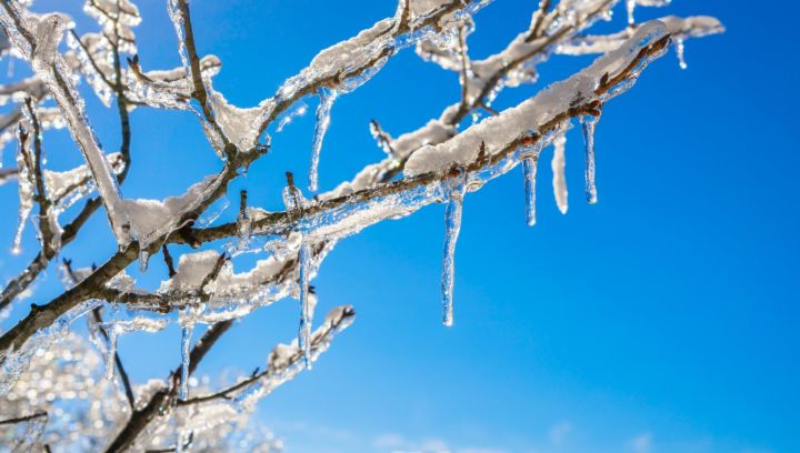 Морозы снова придут в ЛНР в наступающие выходные: прогноз погоды на 21 февраля 