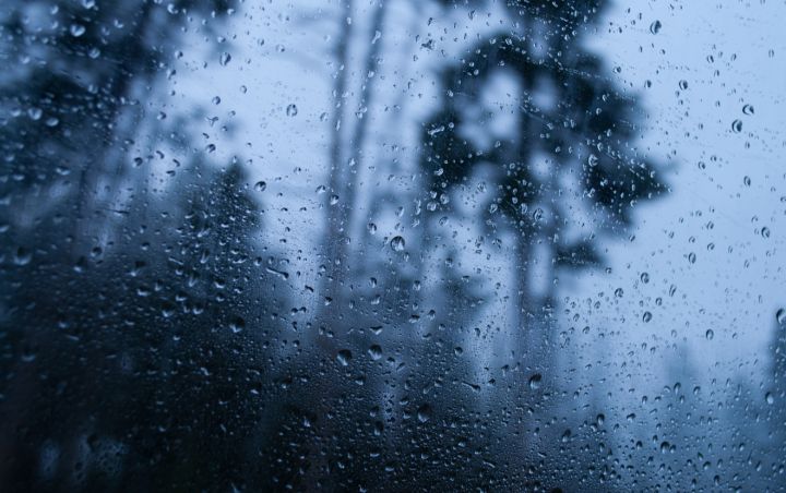 Туман, гололёд и дождь: в ЛНР 24 февраля ожидается очередной температурный скачок 