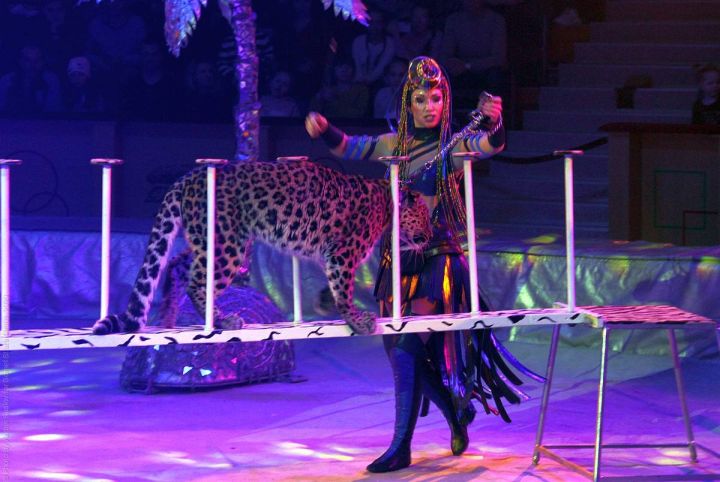 В ЛНР состоится премьера программы «ТОТ САМЫЙ ЦИРК» от Росгосцирка