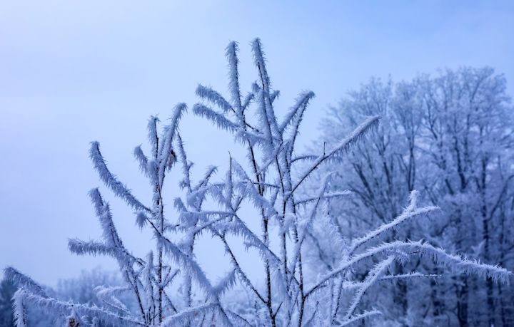 Снова мороз и днём, и ночью: какой погоды ждать жителям ЛНР в предпоследний день зимы? 