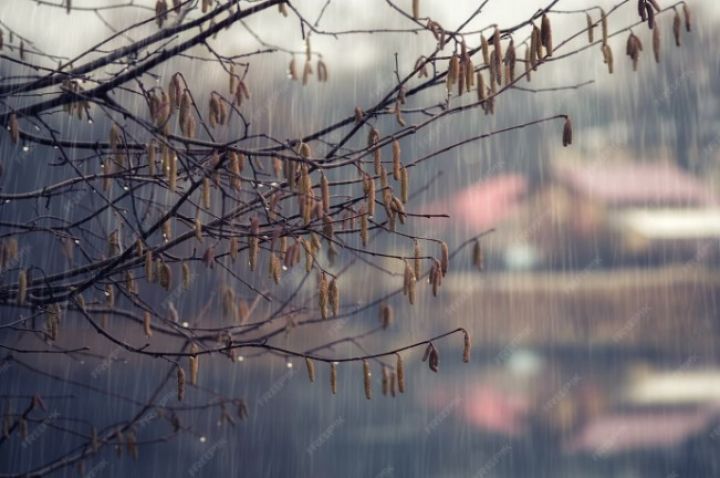 Весна в ЛНР начнётся с дождя и гололедицы