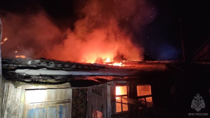 Сгорели куры, но дом отстояли: в ЛНР произошёл крупный пожар в частном доме 