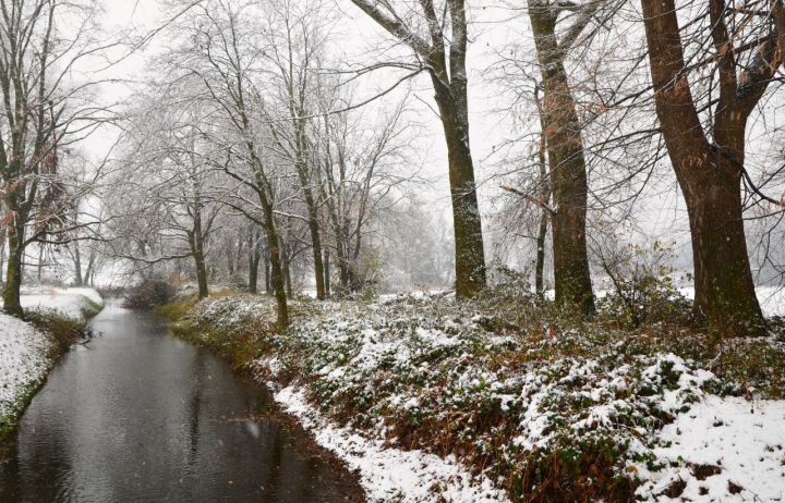 Пойдёт снег, но будет тепло: прогноз погоды в ЛНР на 4 марта 