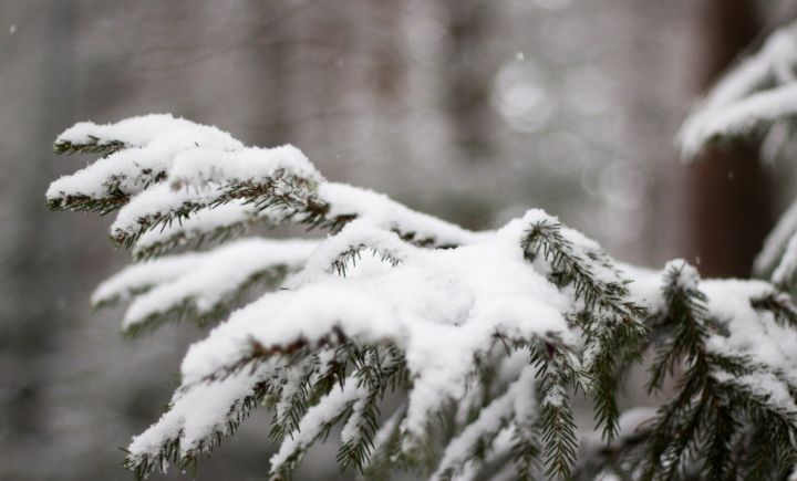 Ночью снег, днём усиление ветра: какой будет погода в ЛНР 5 марта? 