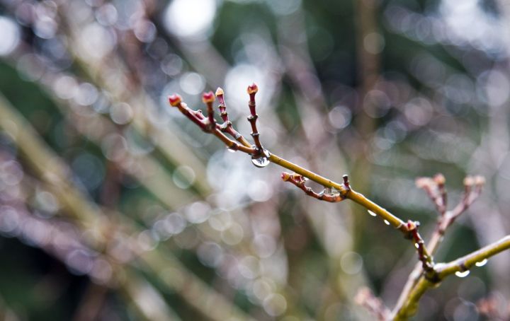 В преддверии женского дня тепла не ждите: прогноз погоды в ЛНР на 6 марта 