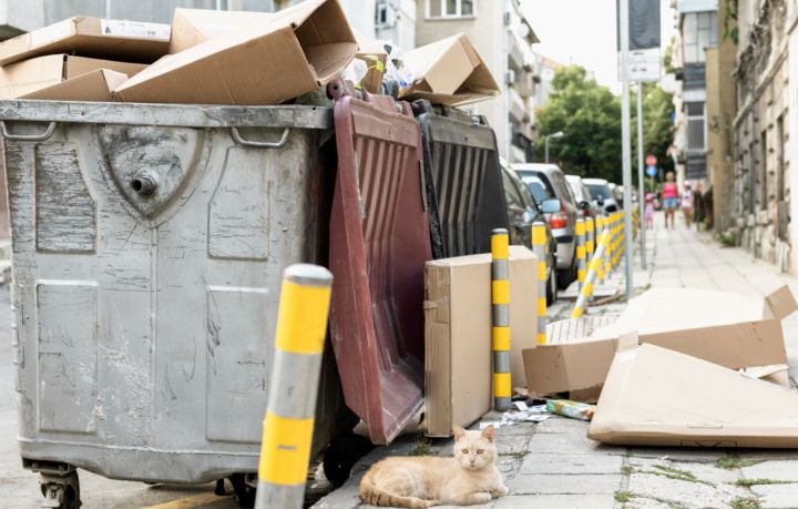 Жителям ЛНР объяснили, как оплатить услугу вывоза ТКО