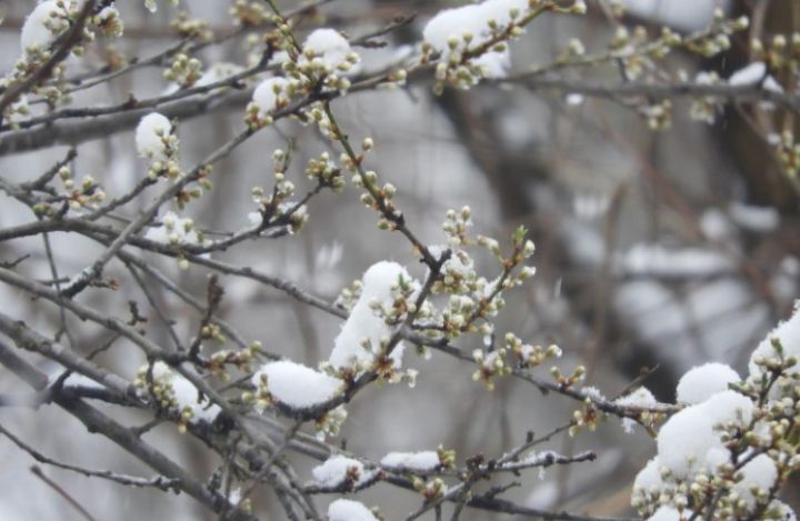Снег и гололедица ожидаются в ЛНР 8 марта