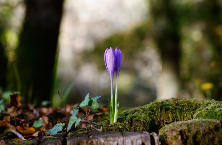 Потеплеет почти до +20°С: какой будет погода в ЛНР 11 марта? 