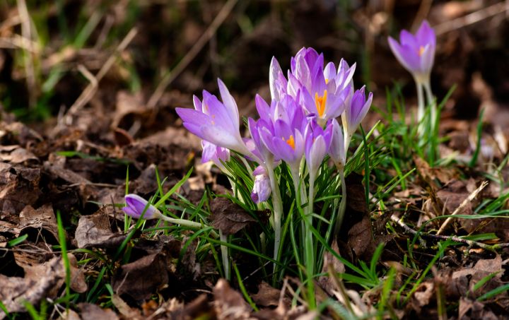 До +20°С тепла: какой погоды ждать жителям ЛНР 12 марта?