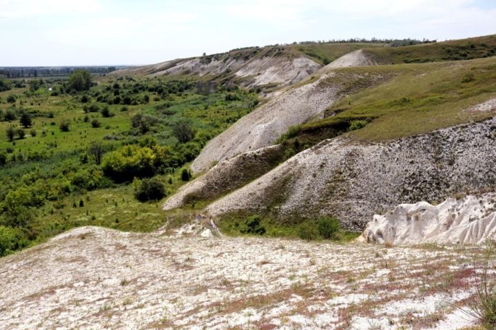 ЛНР и Воронежская область разрабатывают проект трансграничного заповедника