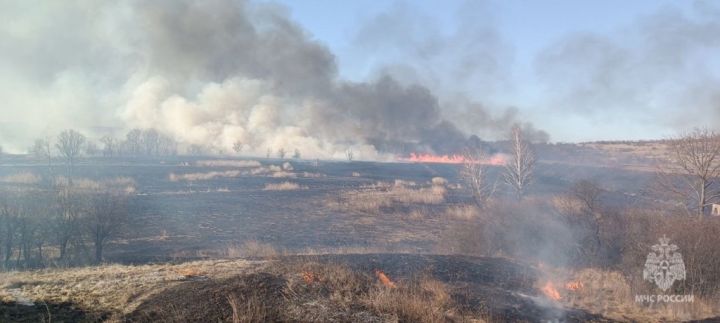 Сотрудники МЧС ликвидировали масштабный пожар в ЛНР