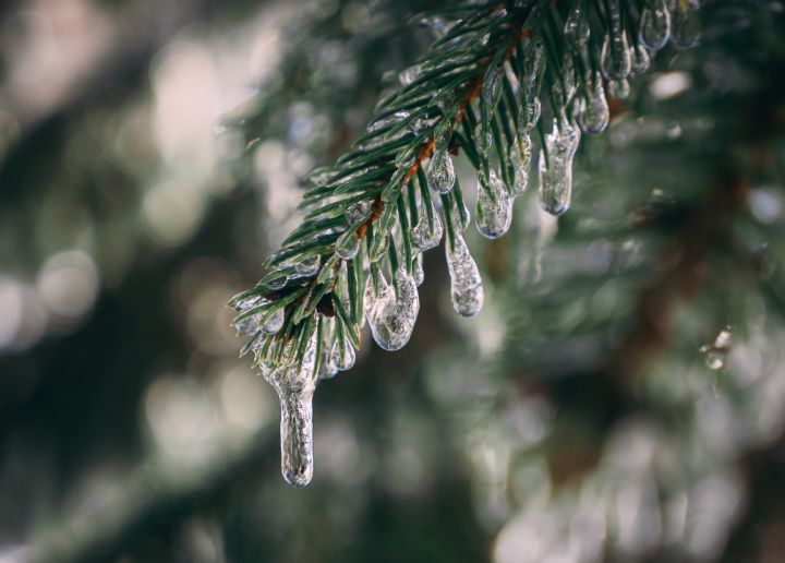 Похолодает и местами пройдёт мокрый снег: прогноз погоды в ЛНР на 17 марта 