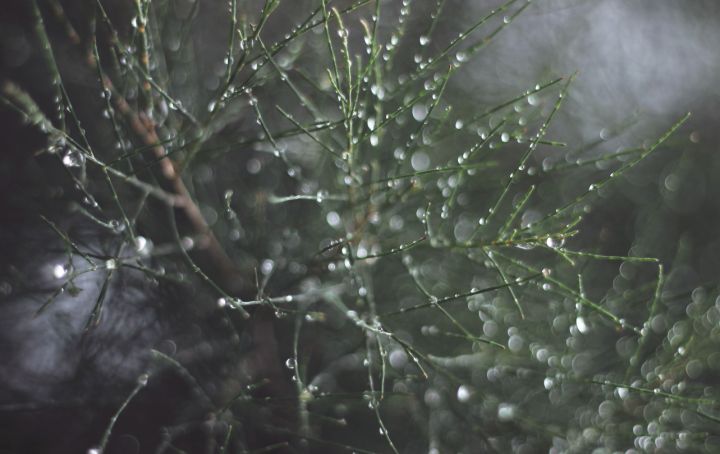 Осадки и небольшое похолодание задержатся в ЛНР: прогноз погоды на 18 марта 