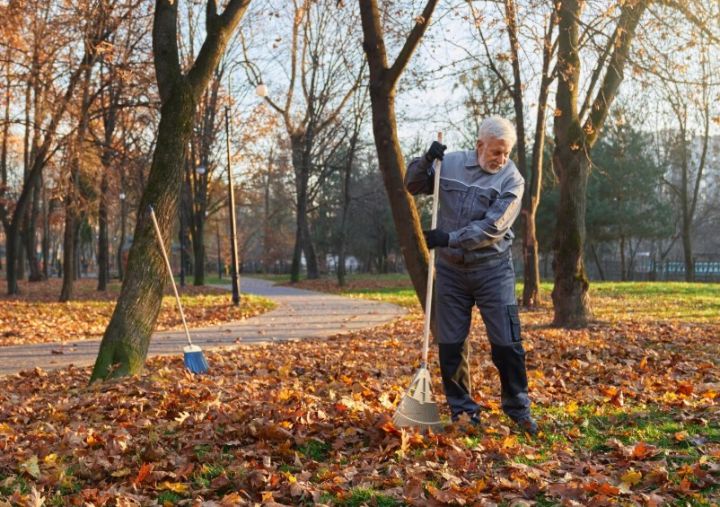 Какие профессии недооценены? Отвечают жители Краснодона