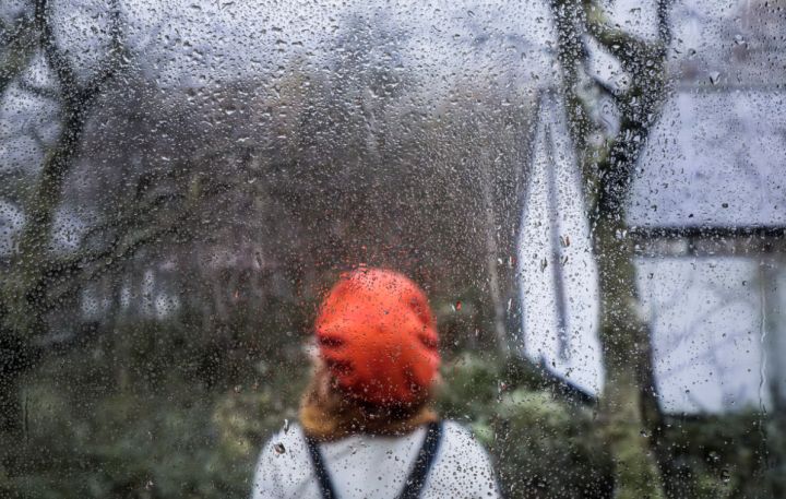 Тепло и дождливо пройдёт в ЛНР первый выходной: прогноз погоды на 21 марта