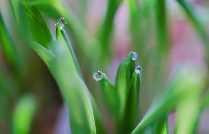 До +17°С и небольшой дождь: какой погоды ждать жителям ЛНР 26 марта? 