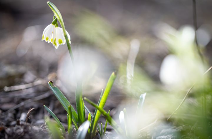 Пасмурно, дождливо, но тепло: как пройдёт последний рабочий день в ЛНР? 