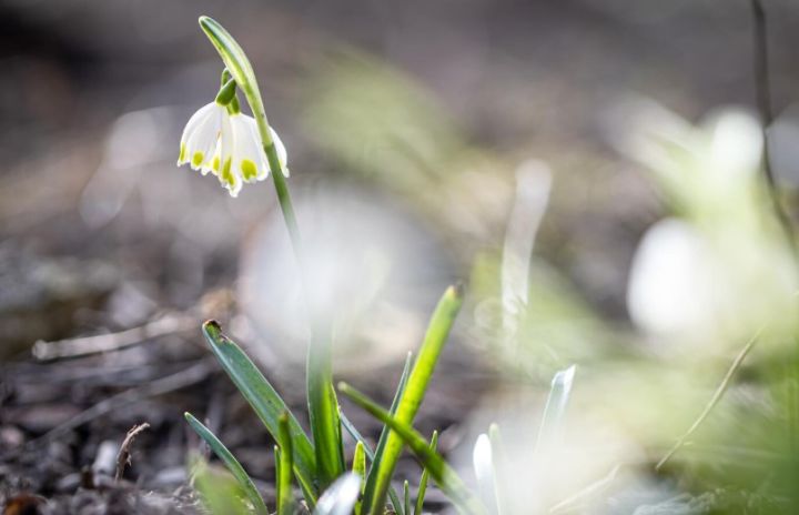 Тепло и без осадков: прогноз погоды в ЛНР на 30 марта