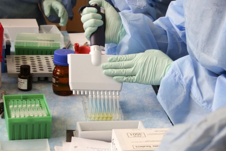 В мире зафиксирован новый штамм COVID: чем он опасен и если ли он в России?