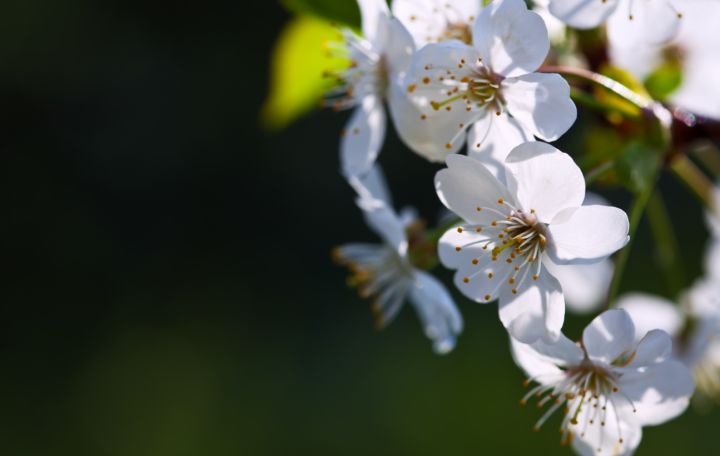 Похолодает и поднимется ветер: какой погоды ждать жителям ЛНР 7 апреля? 