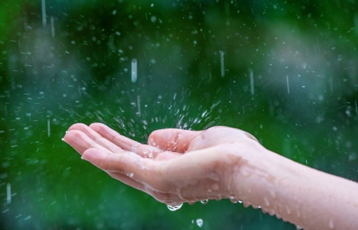 Дождь, ветер и похолодание придут в ЛНР 8 апреля: прогноз погоды по каждому городу 