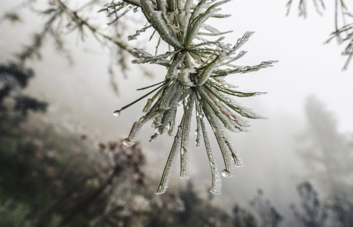 Заморозки ночью и до +13 днём: прогноз погоды в ЛНР на 9 апреля 