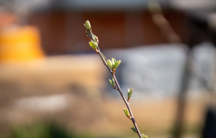 Задождит, но будет тепло: какой погоды ждать жителям ЛНР на Пасху? 