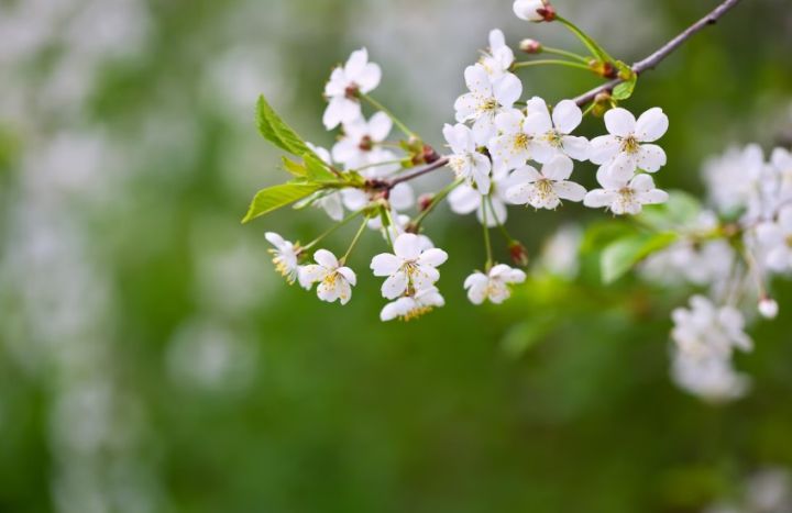 Что в последнее время огорчило или порадовало свердловчан в изменениях города?