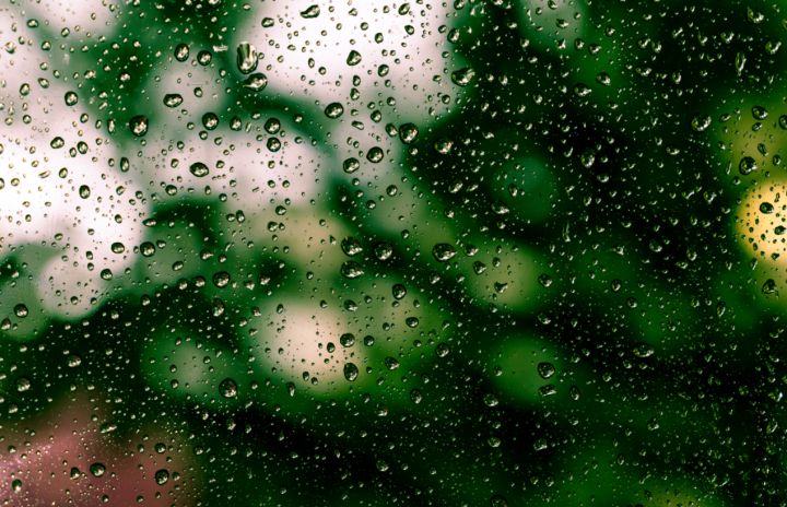 Поднимется ветер, пойдёт дождь и станет холоднее: прогноз погоды в ЛНР на 14 апреля 