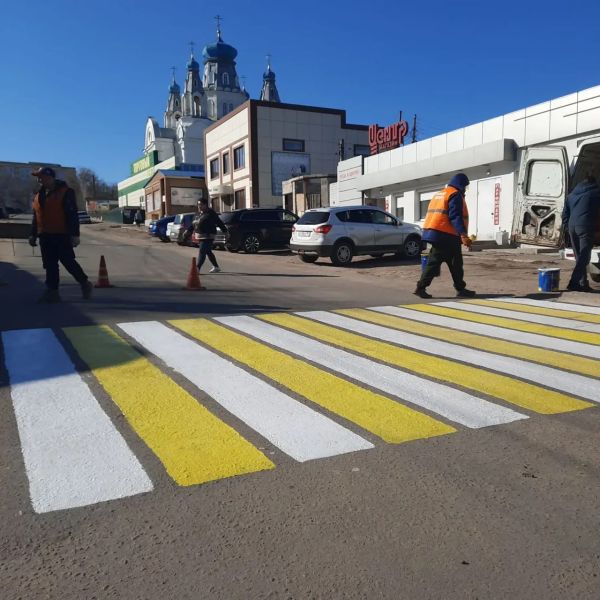 Самое яркое, что есть в ЛНР: жителям предложили бороться с депрессией фотографиями «зебр»