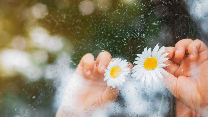 Заморозки ночью и до +19 днём ожидается в ЛНР 16 апреля: прогноз погоды по каждому городу 