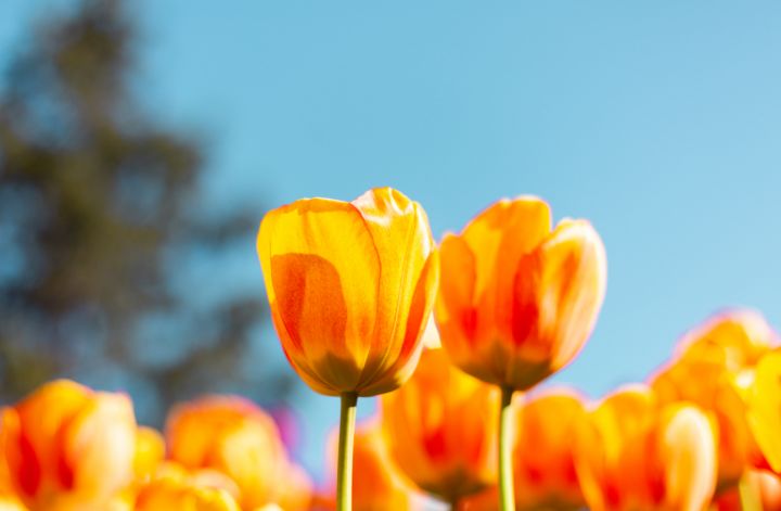 И дни, и ночи становятся всё теплее: прогноз погоды в ЛНР на 18 апреля 