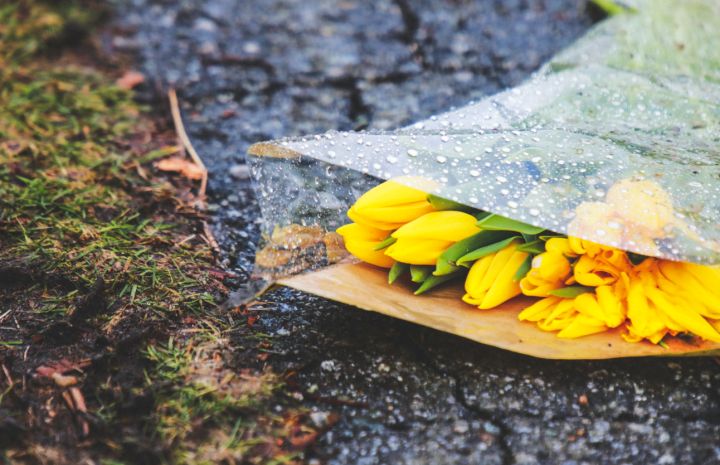 От +20 к заморозкам и холоду: какой погоды ждать жителям ЛНР 21 апреля? 