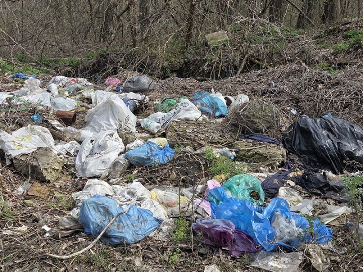 Нелегальные свалки – молчаливая угроза Свердловску