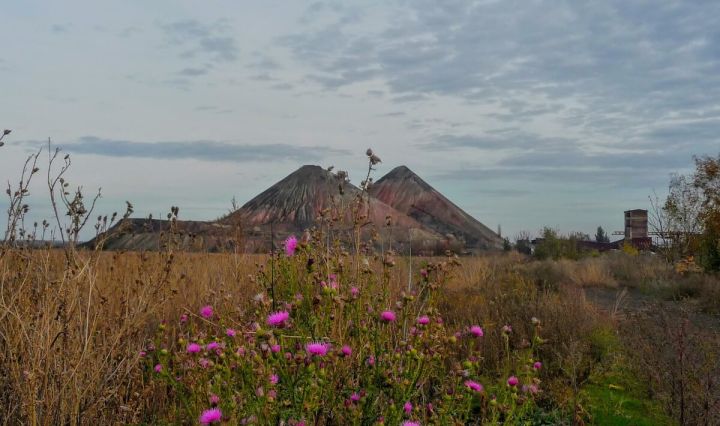 В ЛНР на месте терриконов хотят развивать строительство